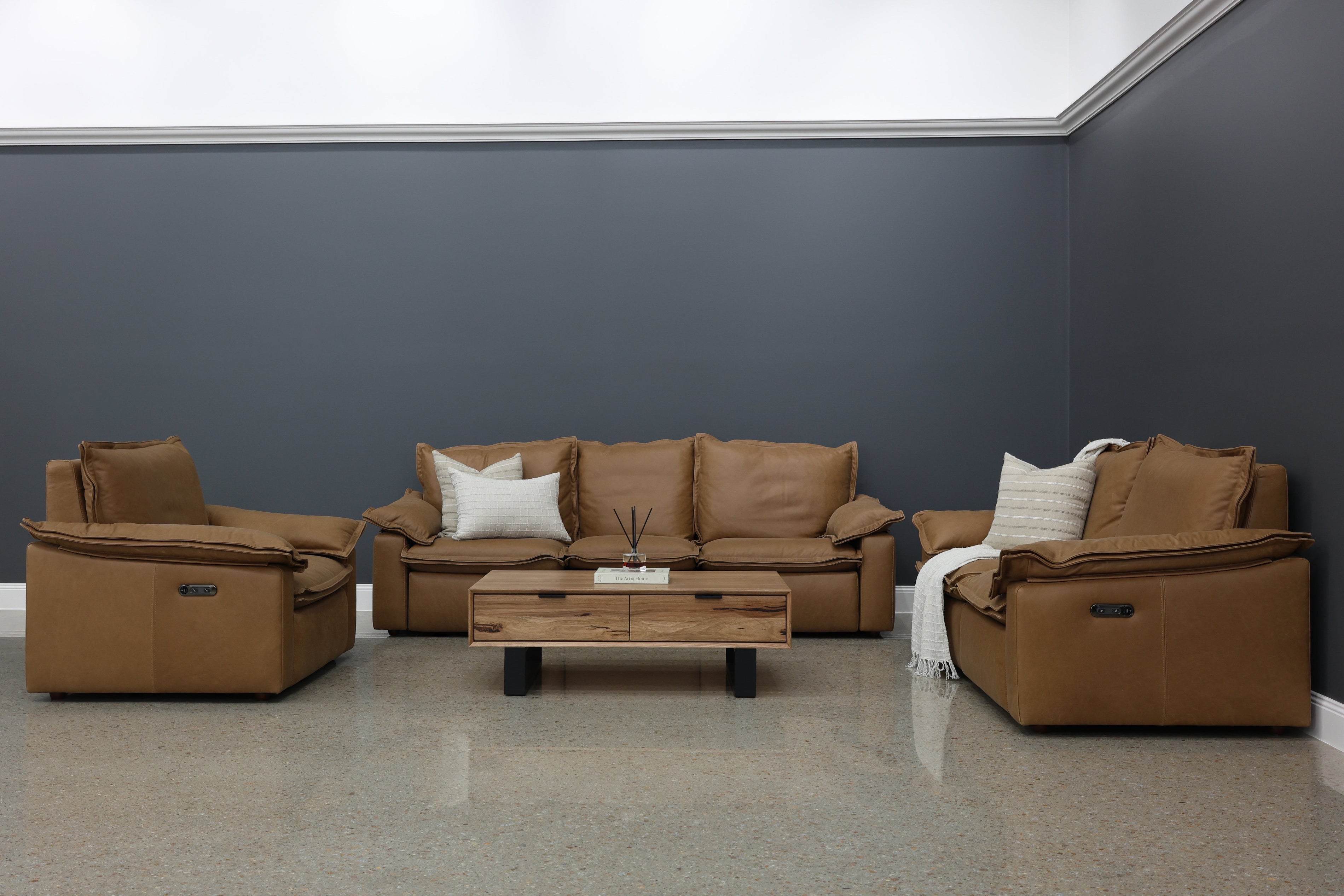 Leather Sofas & Lounges