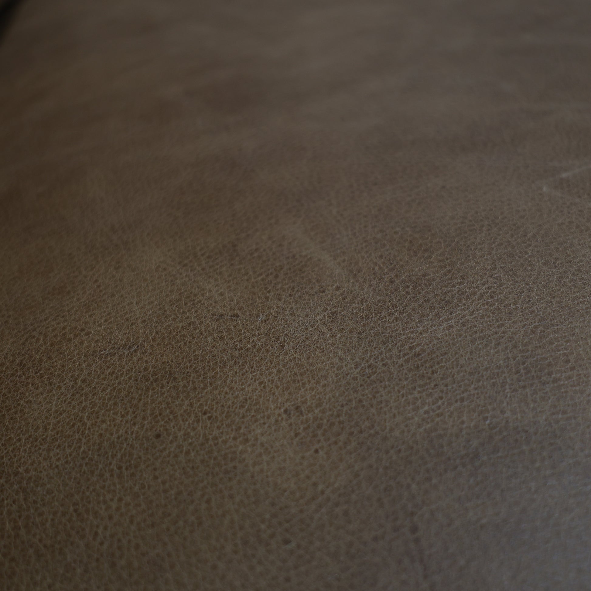 Canterbury Loveseat - Tan Leather