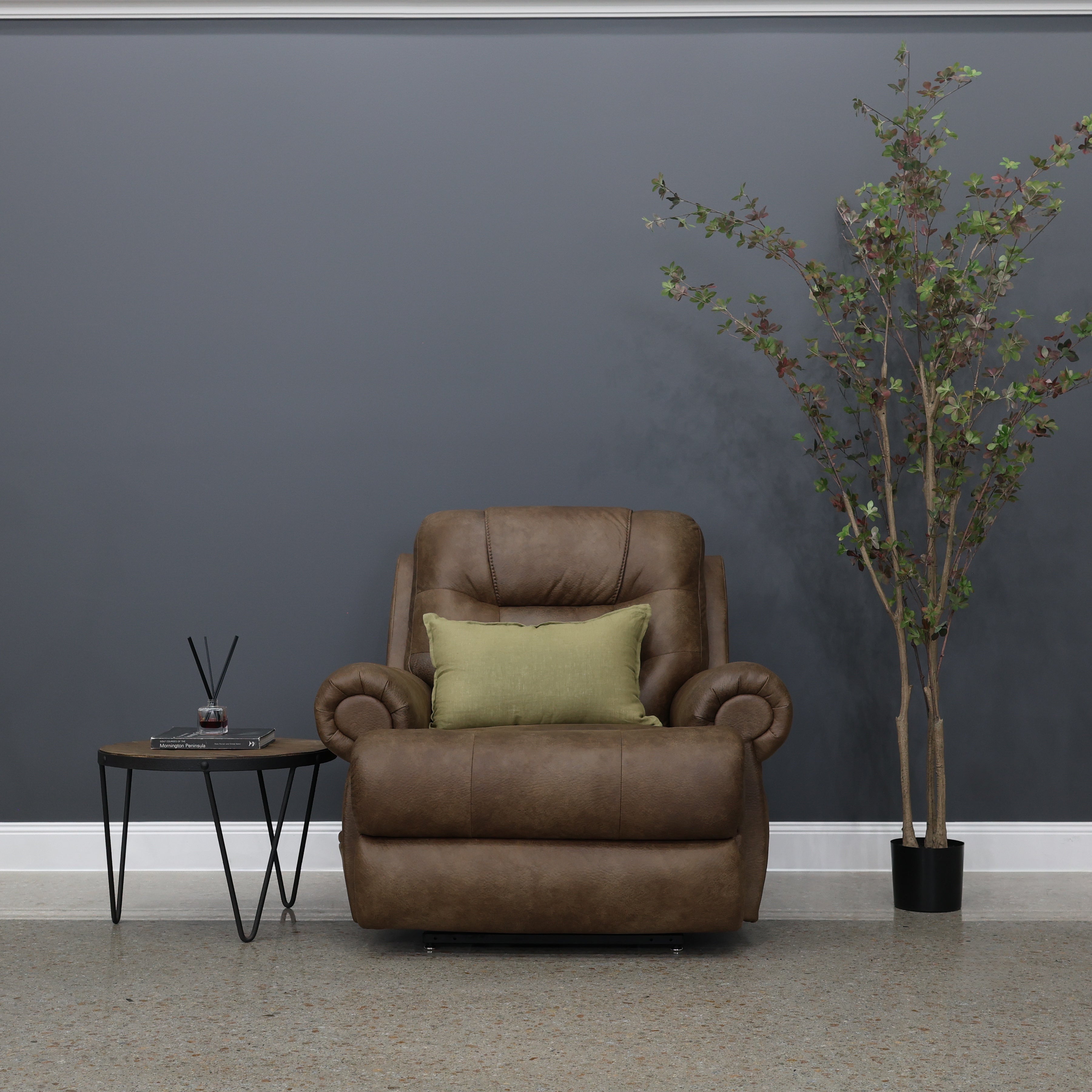 Catherine Power Lift Recliner - Brown