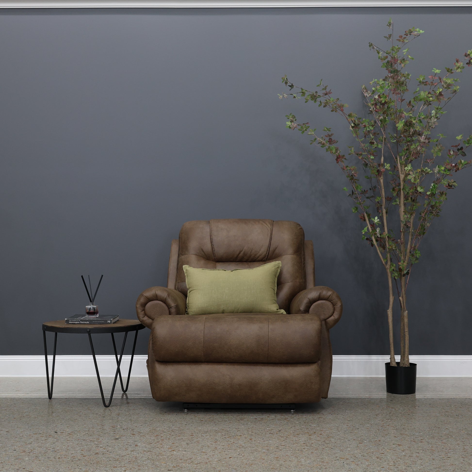 Catherine Power Lift Recliner - Brown