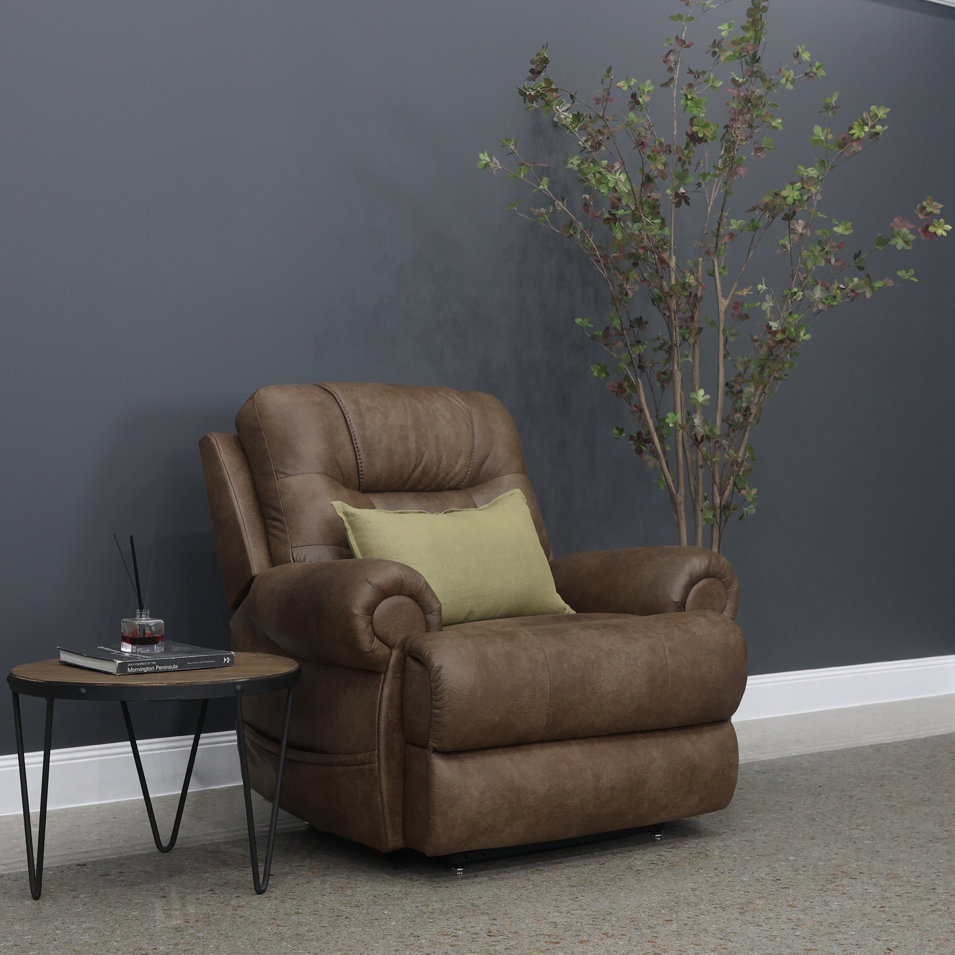 Catherine Power Lift Recliner - Brown
