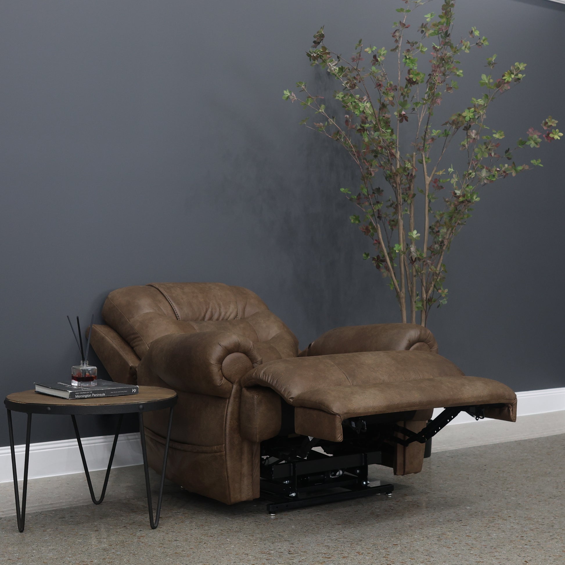 Catherine Power Lift Recliner - Brown