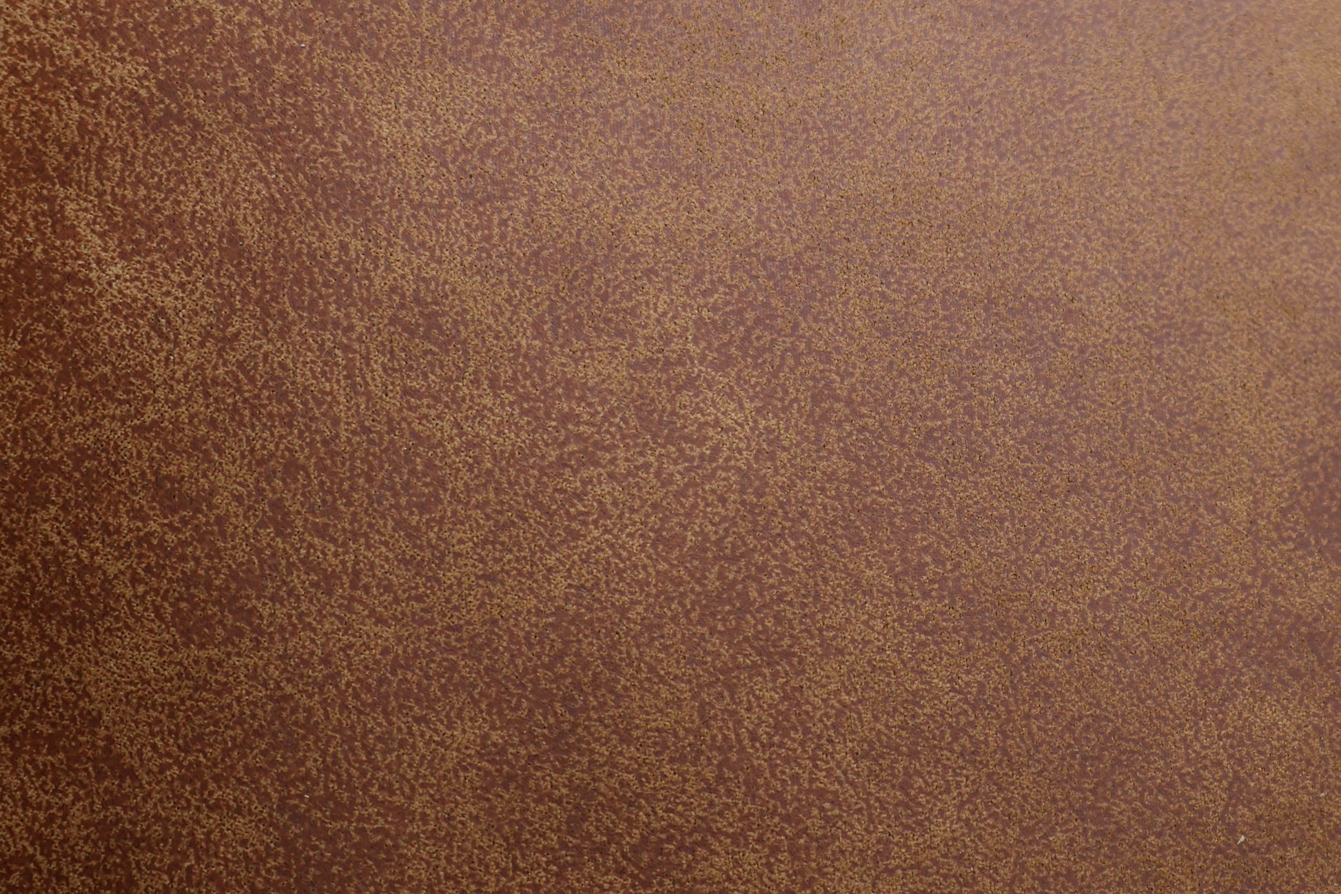 Canberra Loveseat - Highland Buff