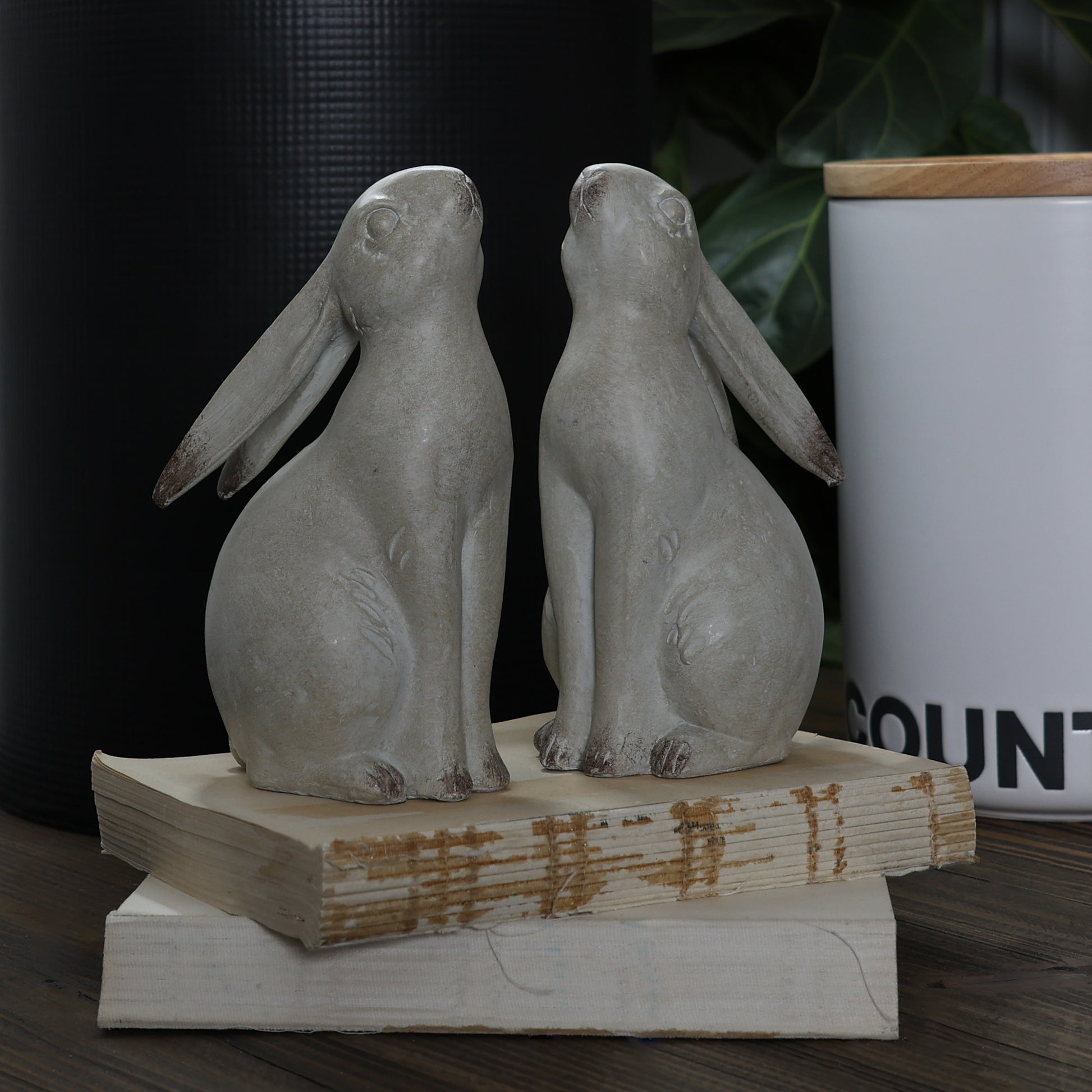 Cotton-Tail Bookends - White Wash