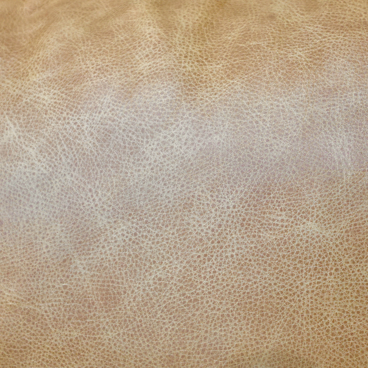 Adelaide Electric Loveseat - Tan Leather