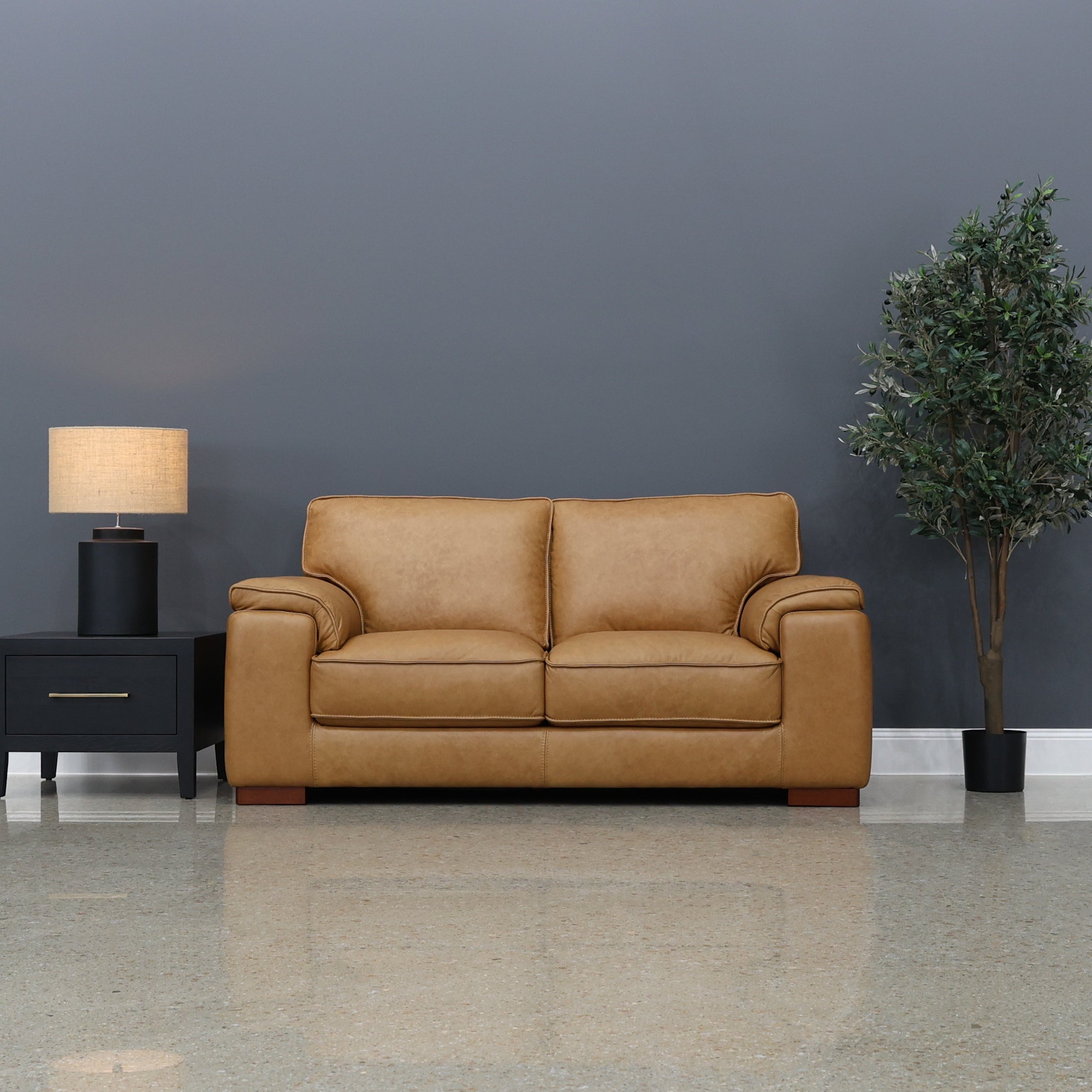 Rostrevor 2 Seater Loveseat - Tan Leather