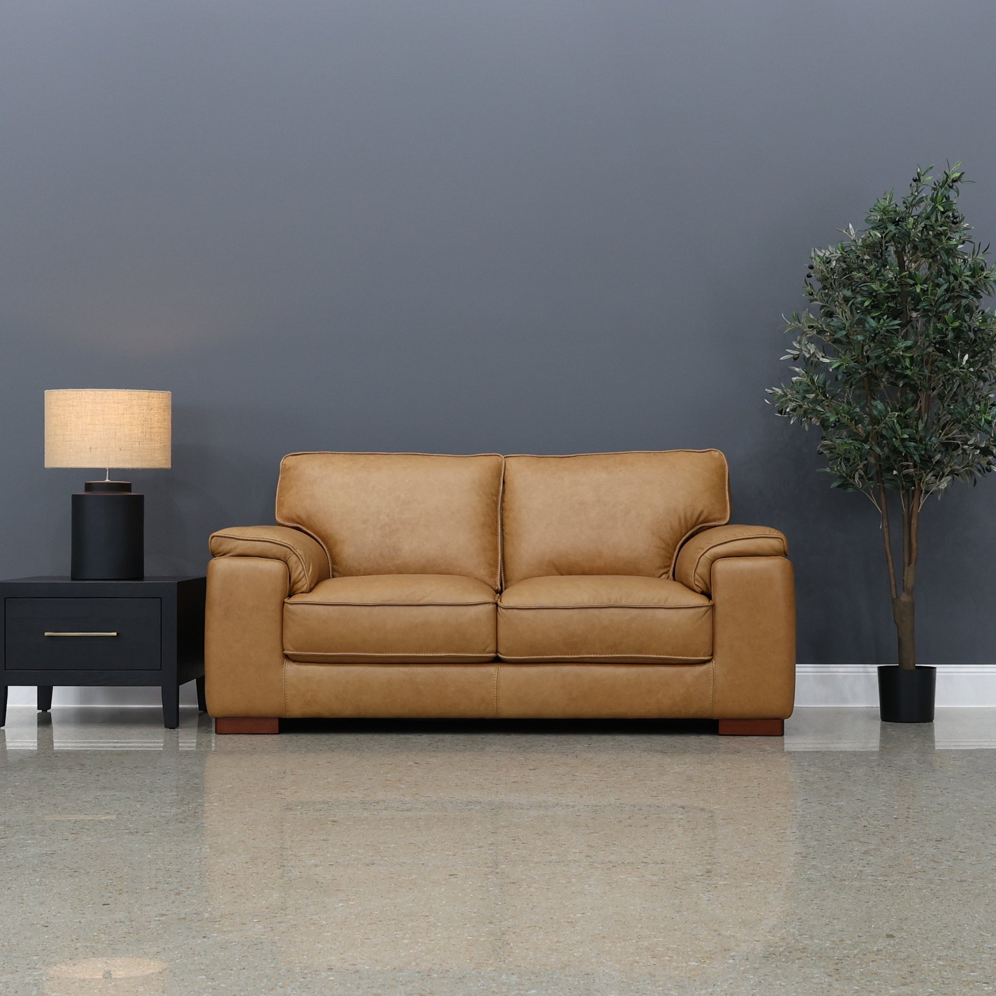 Rostrevor 2 Seater Loveseat - Tan Leather
