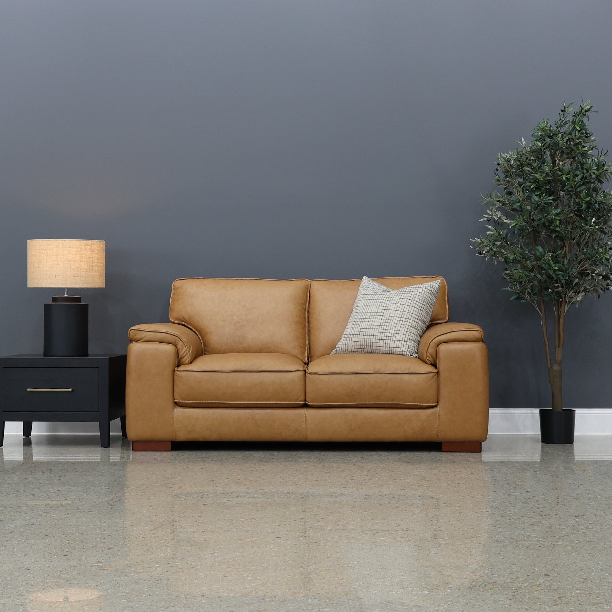 Rostrevor 2 Seater Loveseat - Tan Leather