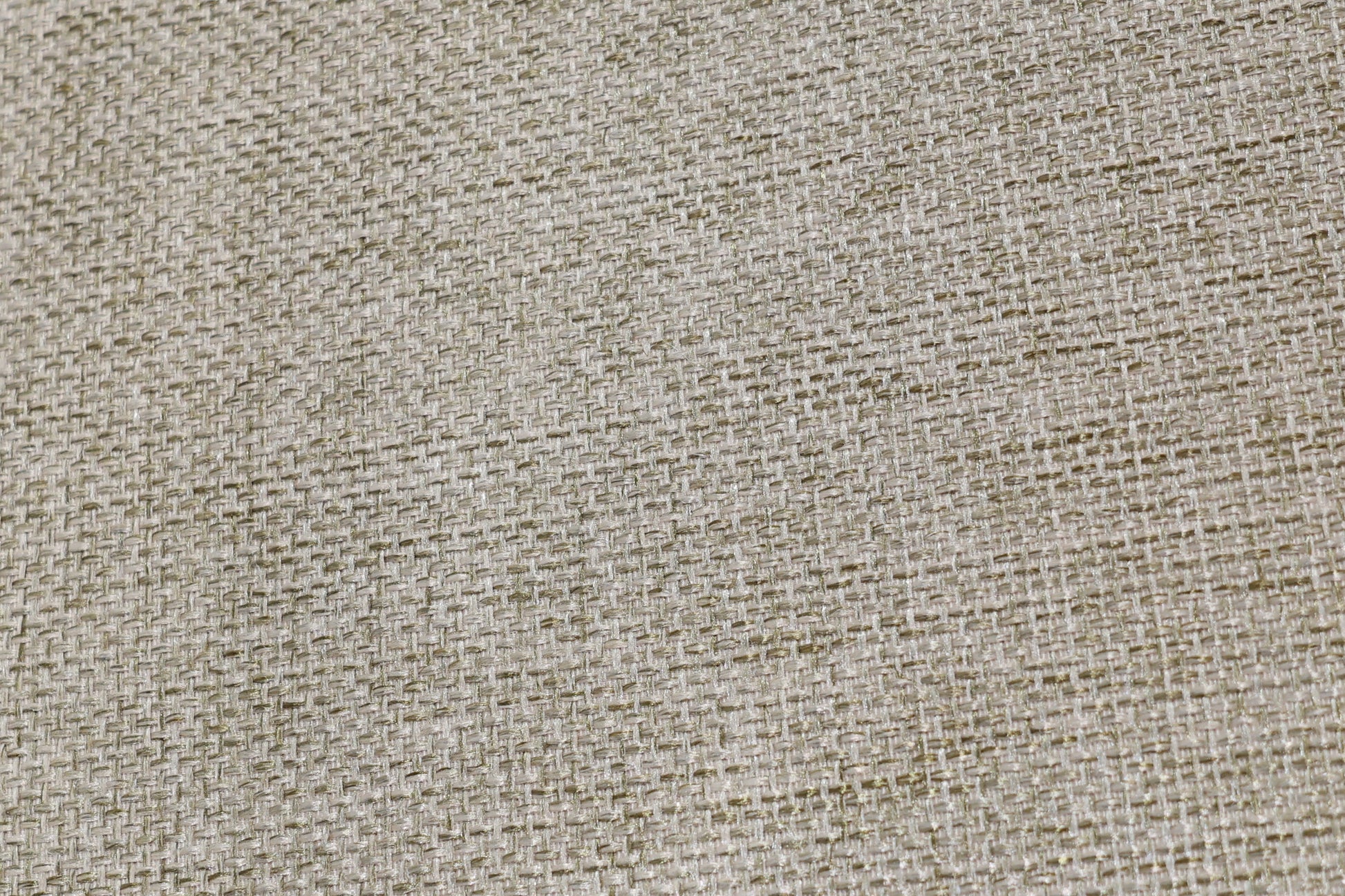 Provedore White Dining Chair